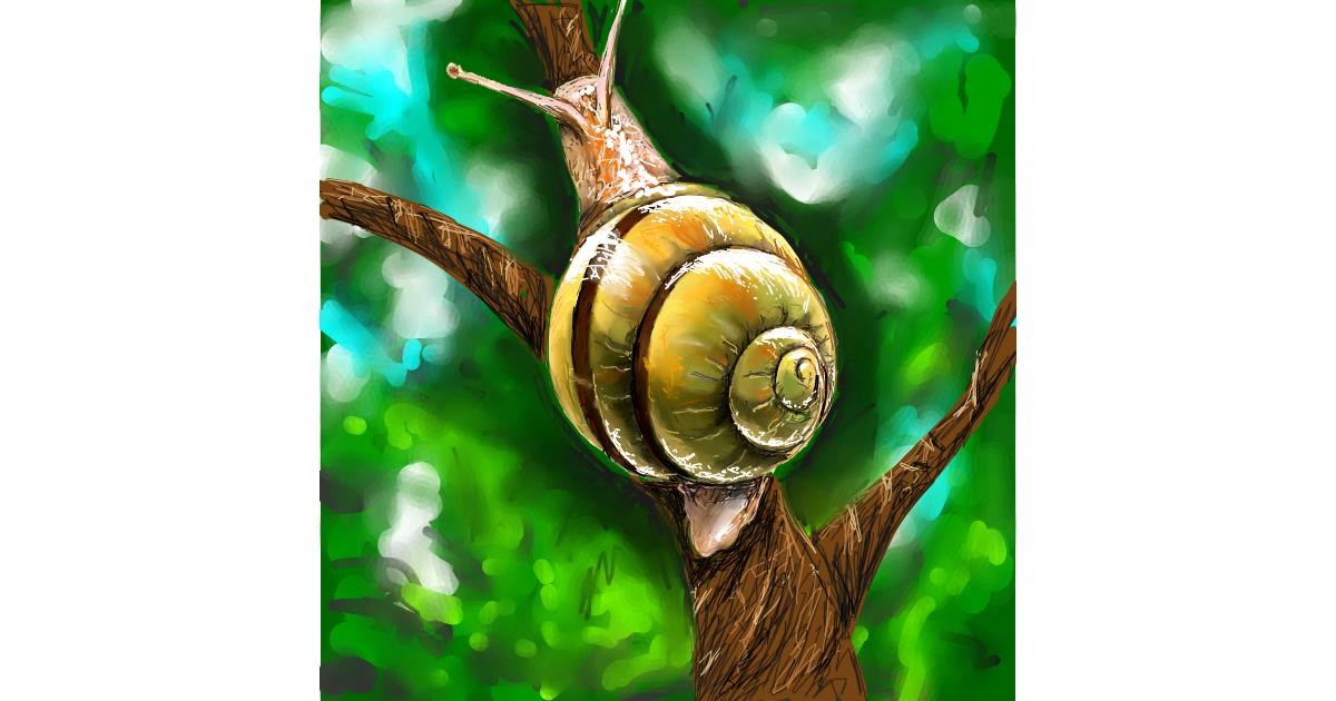 Drawing of Snail by Andromeda