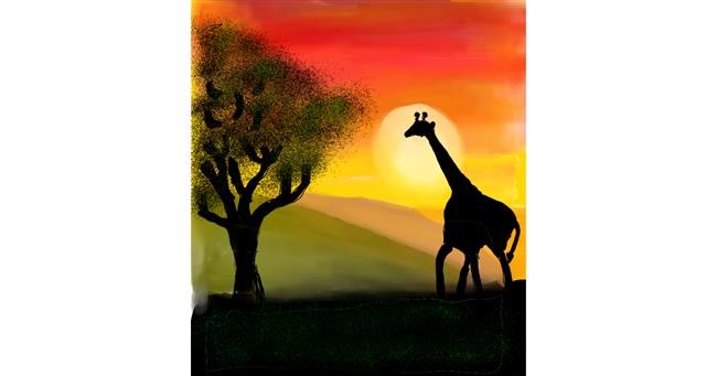 Drawing of Giraffe by Wish