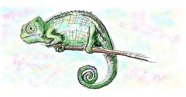 Drawing of Chameleon by Kitine