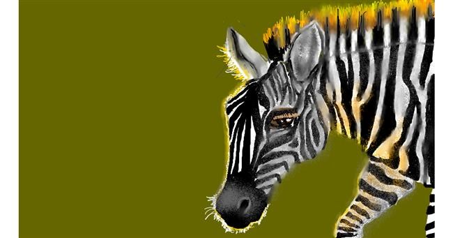 Drawing of Zebra by SAM AKA MARGARET 🙄