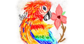 Drawing of Parrot by BRIDALIO🍌