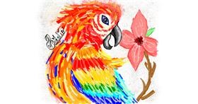 Drawing of Parrot by BRIDALIO🍌