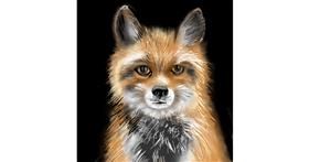 Drawing of Fox by ⋆su⋆vinci彡