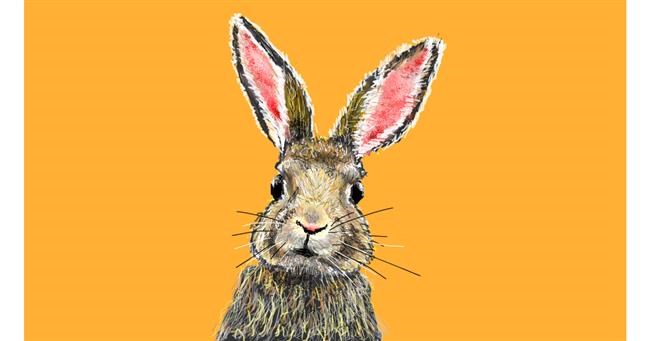 Drawing of Rabbit by teidolo