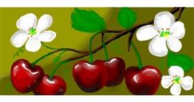 Kirsche-Zeichnung von justme❤️