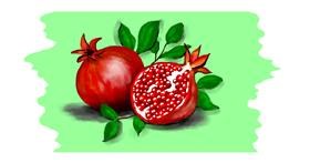 Drawing of Pomegranate by Debidolittle