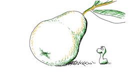 Drawing of Pear by Carm