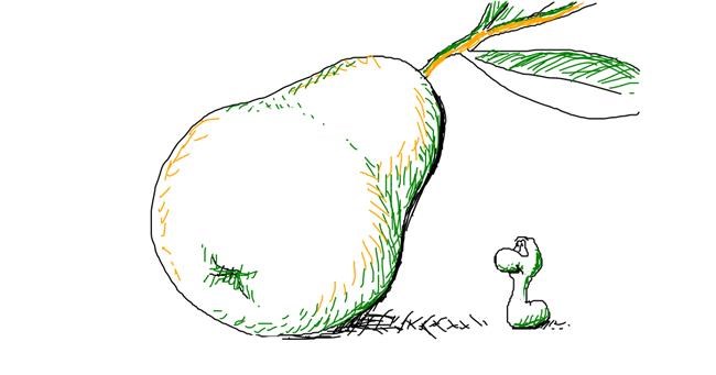 Drawing of Pear by Carm