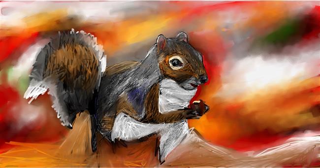 Drawing of Squirrel by Mia