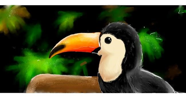 Drawing of Toucan by 𝔠𝔶𝔟𝔢𝔯𝔳𝔞𝔪𝔭𝔦𝔯𝔢