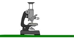 Mikroskop-Zeichnung von Swimmer 