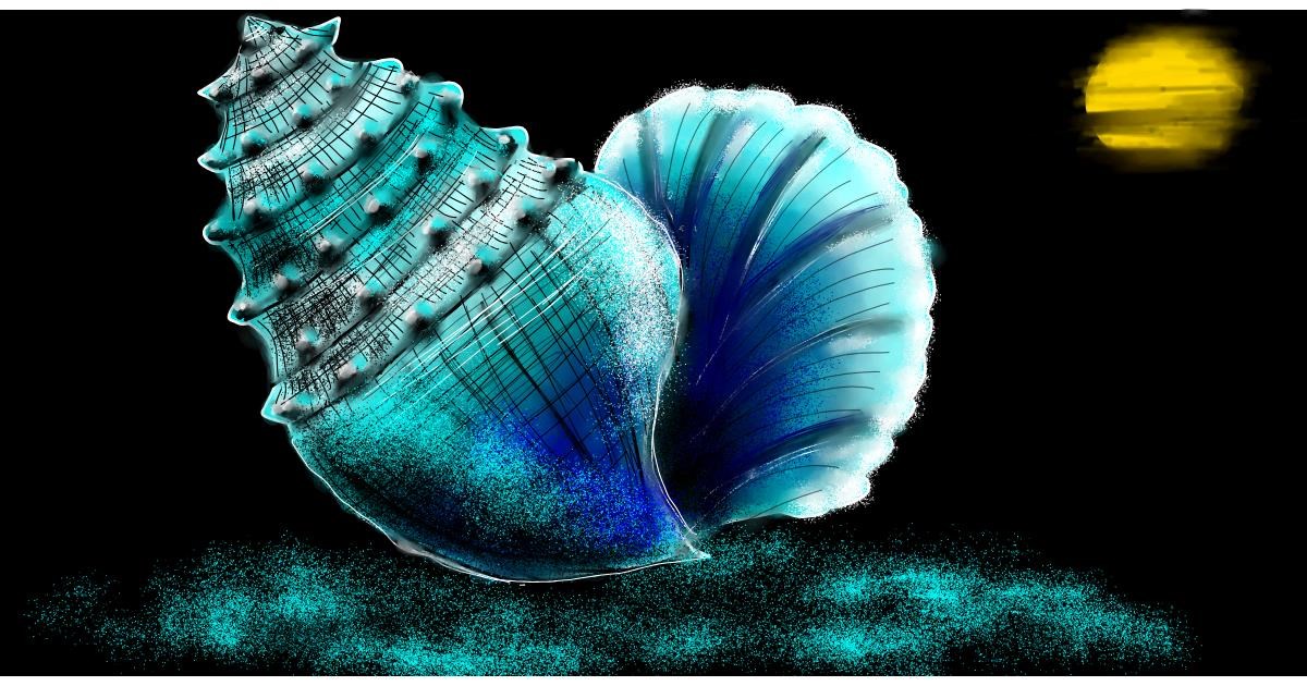 Muschel Zeichnung - Galerie und Anleitungsvideos zum Zeichnen!