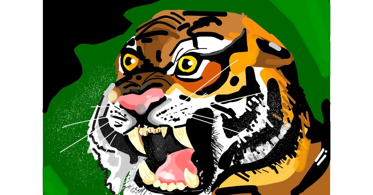 Drawing of Tiger by Rain