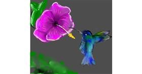 Drawing of Hummingbird by Peek