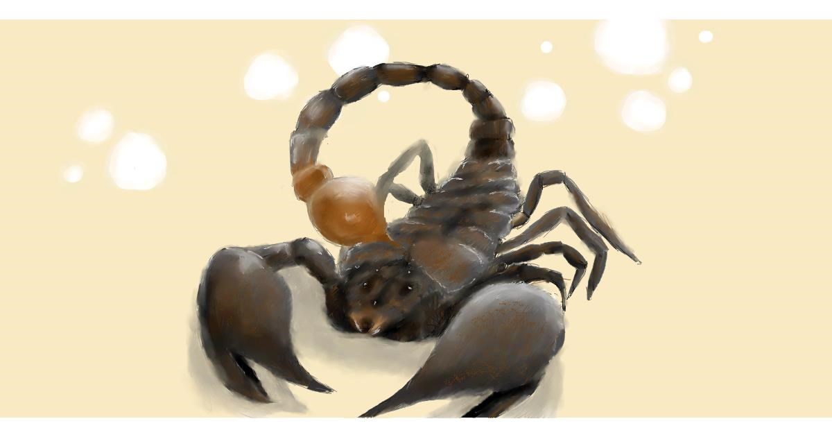 Drawing of Scorpion by Sara
