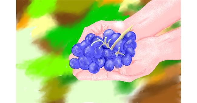 Drawing of Grapes by GJP
