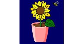 Drawing of Sunflower by MaRi