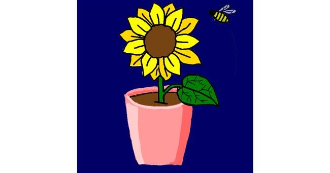 Drawing of Sunflower by MaRi