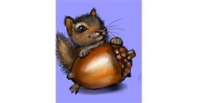 Drawing of Acorn by Leah