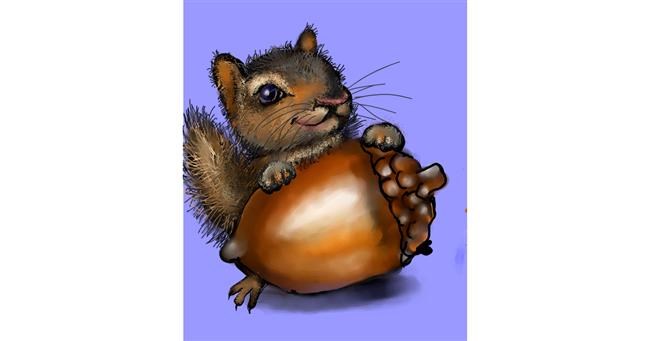 Drawing of Acorn by Leah