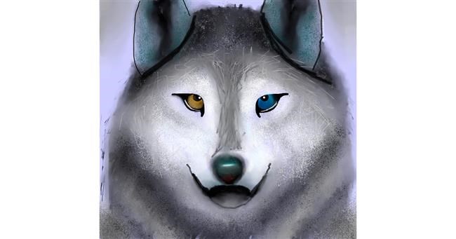 Drawing of Wolf by 🇭🇰 Acem Lam