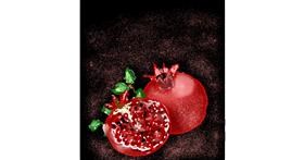 Drawing of Pomegranate by Eclat de Lune