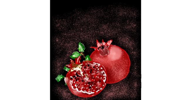 Drawing of Pomegranate by Eclat de Lune