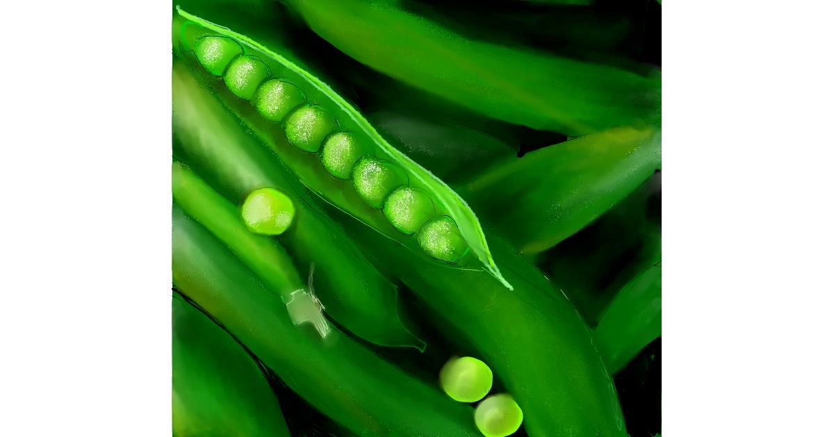 Drawing of Peas by Lou Drawize Gallery!
