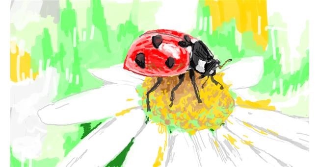 Drawing of Ladybug by Cordie