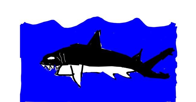 Drawing of Shark by Zezaf