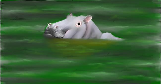 Drawing of Hippo by DElfinis