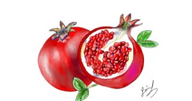 Drawing of Pomegranate by Pizza Margherita 🍕