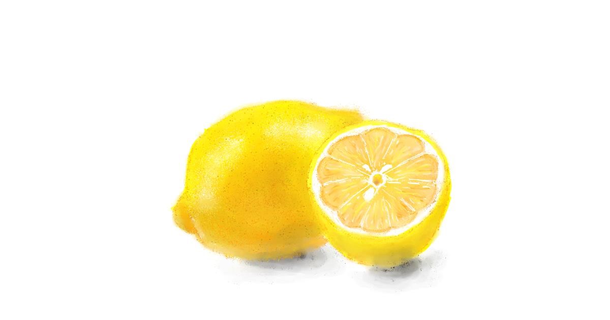 Drawing of Lemon by Fazila