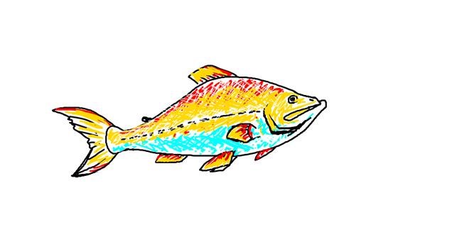Drawing of Fish by sweetpotator