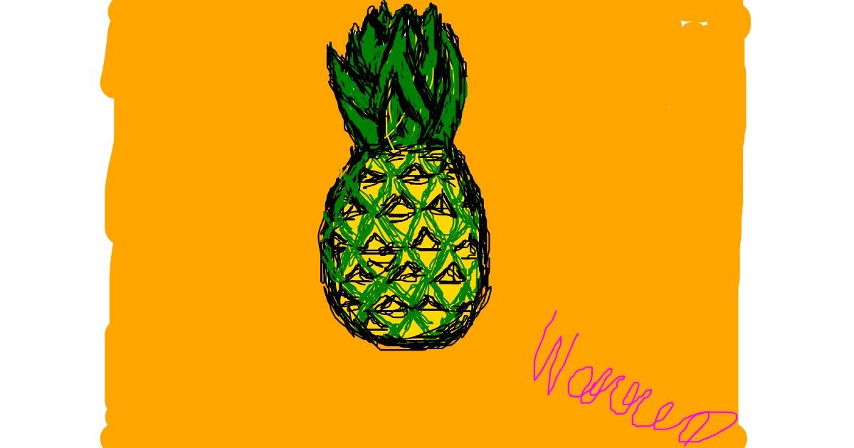 Drawing of Pineapple by Warren