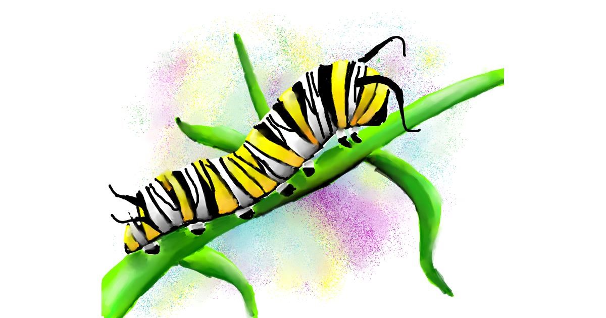 Caterpillar Drawing by Autumn Drawize Gallery!