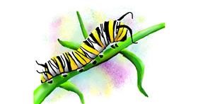 Drawing of Caterpillar by Autumn