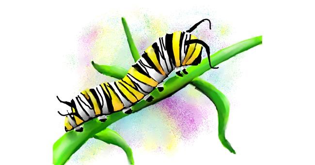 Drawing of Caterpillar by Autumn