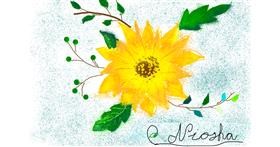 Drawing of Sunflower by 𝕹𝖎𝖔𝖘𝖍𝖆