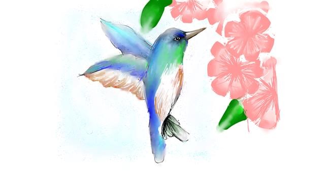 Drawing of Hummingbird by EMI💞💞😃