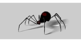 Drawing of Spider by Çhåching