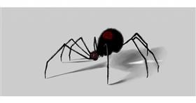 Drawing of Spider by Chaching