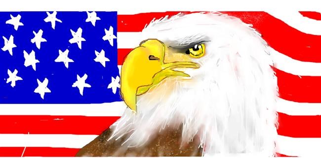 Drawing of Eagle by Debidolittle