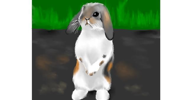 Drawing of Rabbit by Cec