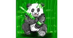 Drawing of Bamboo by Rose rocket