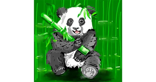 Drawing of Bamboo by Rose rocket