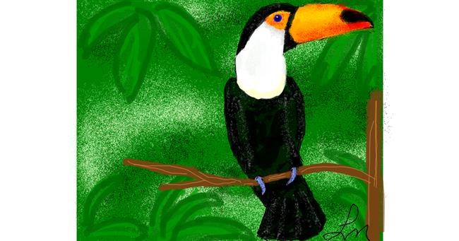 Drawing of Toucan by Nonuvyrbiznis 