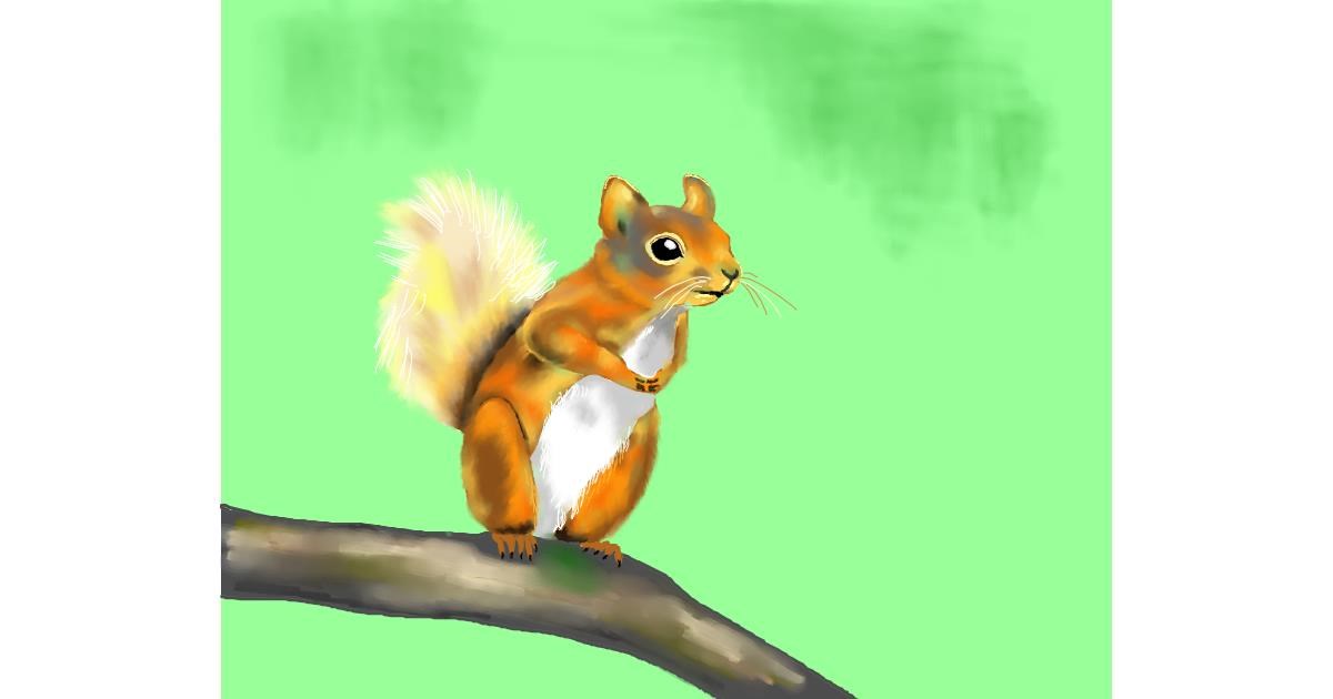 Drawing of Squirrel by Cec