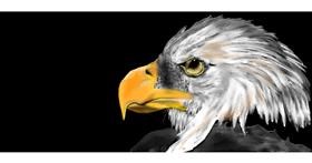 Drawing of Eagle by Chaching