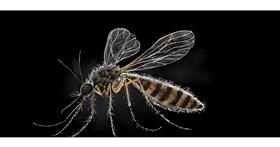 Drawing of Mosquito by Çhåching